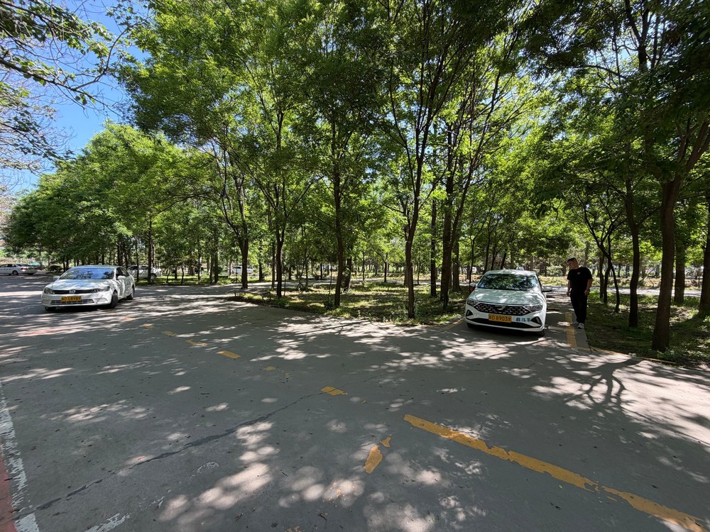 训练场全景