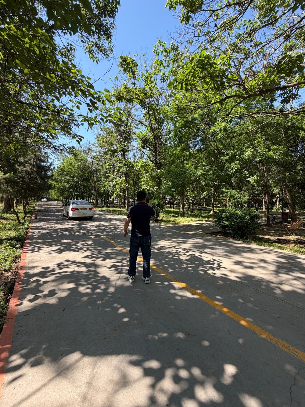 林荫训练道 教练随车